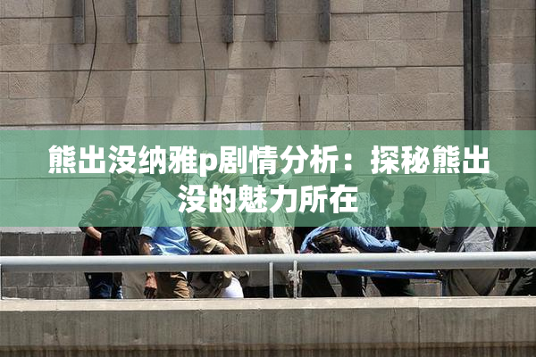 熊出没纳雅p剧情分析：探秘熊出没的魅力所在