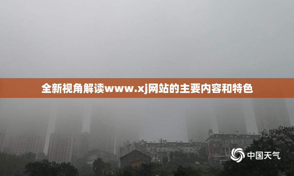 全新视角解读www.xj网站的主要内容和特色