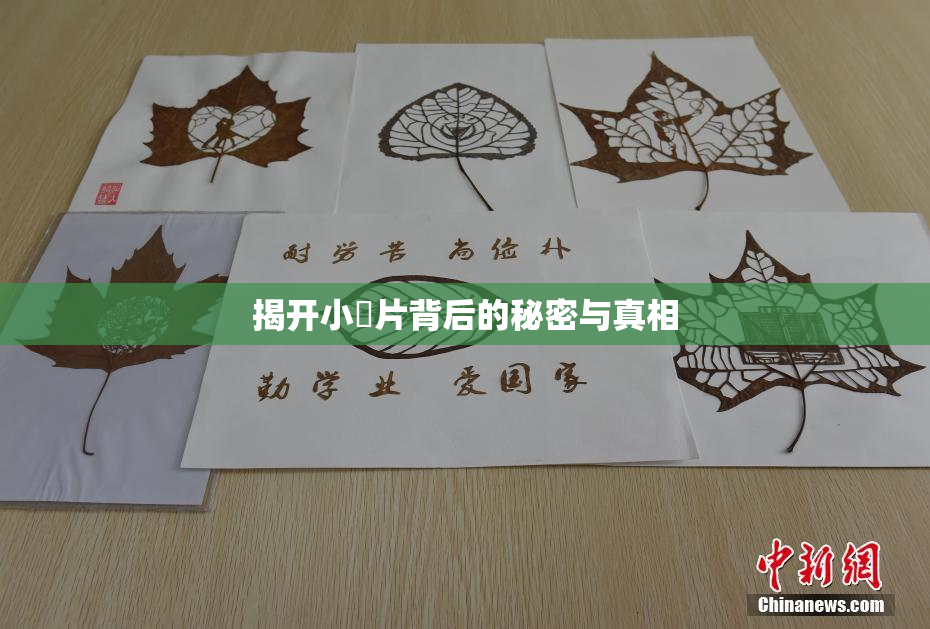 揭开小黃片背后的秘密与真相