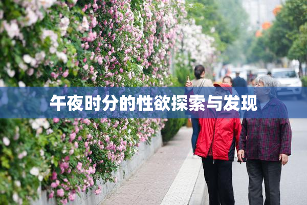 午夜时分的性欲探索与发现