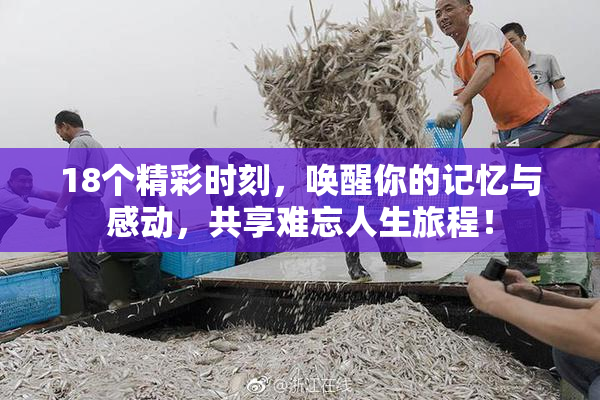 18个精彩时刻，唤醒你的记忆与感动，共享难忘人生旅程！