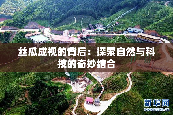 丝瓜成视的背后：探索自然与科技的奇妙结合