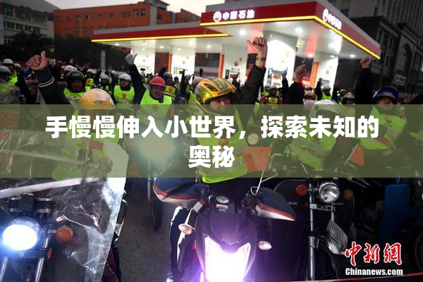 手慢慢伸入小世界，探索未知的奥秘