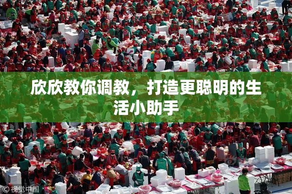 欣欣教你调教，打造更聪明的生活小助手