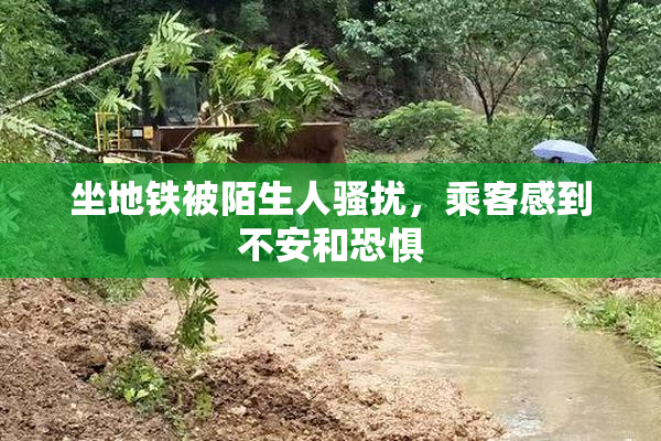 坐地铁被陌生人骚扰，乘客感到不安和恐惧