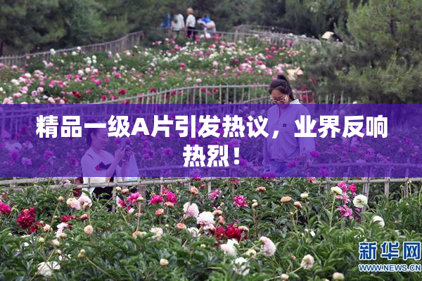 精品一级A片引发热议，业界反响热烈！