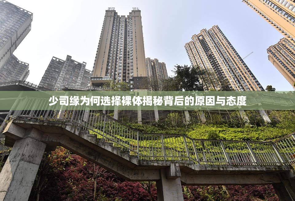 少司缘为何选择裸体揭秘背后的原因与态度