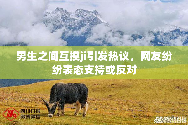 男生之间互摸ji引发热议，网友纷纷表态支持或反对