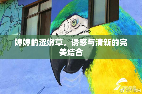 婷婷的涩嫩草，诱惑与清新的完美结合