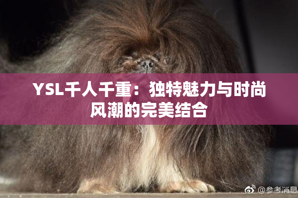 YSL千人千重：独特魅力与时尚风潮的完美结合