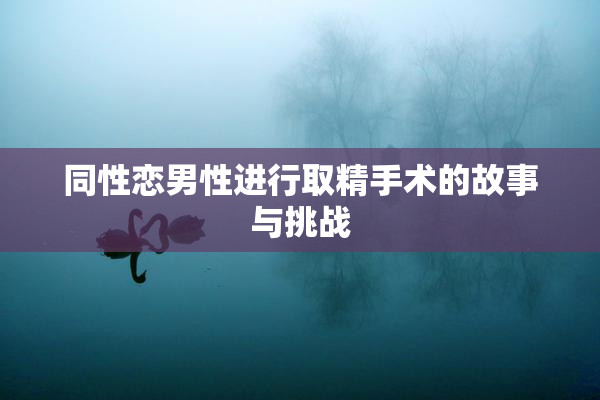 同性恋男性进行取精手术的故事与挑战