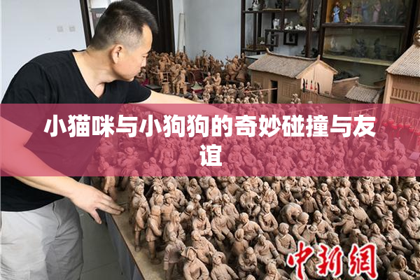 小猫咪与小狗狗的奇妙碰撞与友谊
