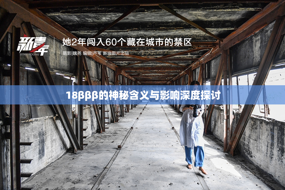 18βββ的神秘含义与影响深度探讨