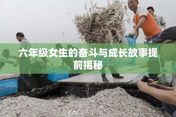 六年级女生的奋斗与成长故事提前揭秘