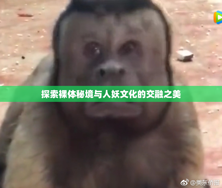 探索裸体秘境与人妖文化的交融之美