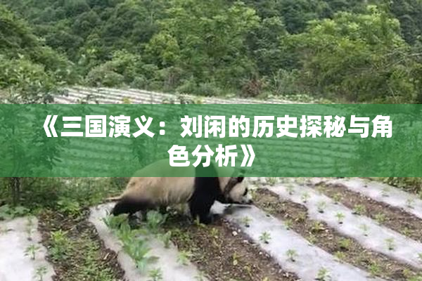 《三国演义：刘闲的历史探秘与角色分析》
