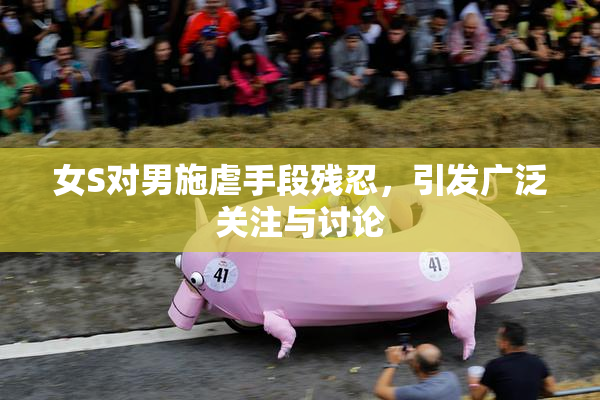 女S对男施虐手段残忍，引发广泛关注与讨论