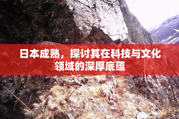 日本成熟，探讨其在科技与文化领域的深厚底蕴