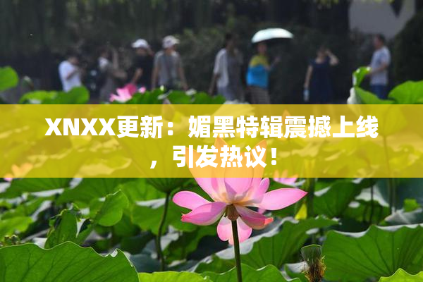 XNXX更新：媚黑特辑震撼上线，引发热议！