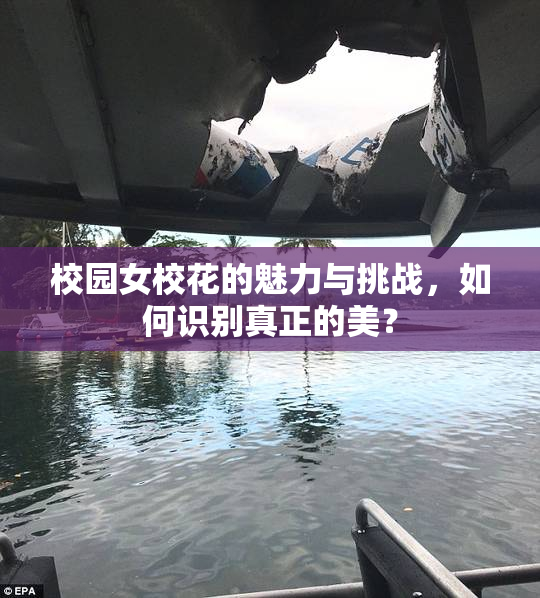 校园女校花的魅力与挑战，如何识别真正的美？