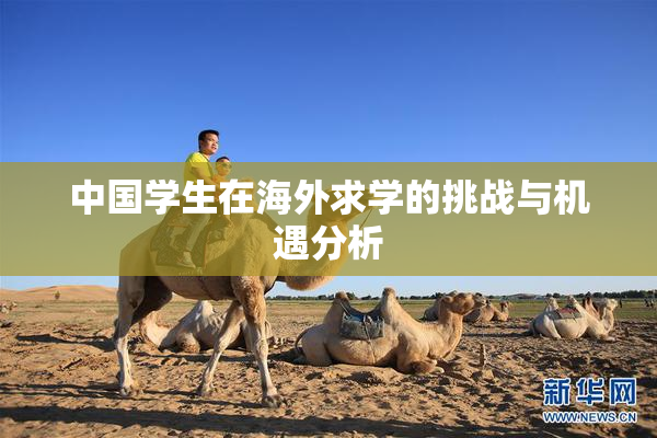 中国学生在海外求学的挑战与机遇分析