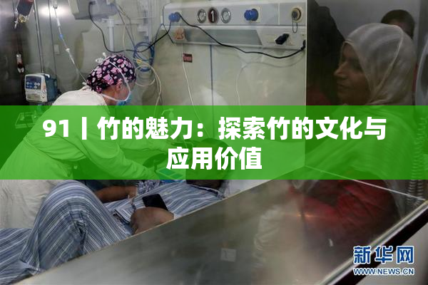 91丨竹的魅力：探索竹的文化与应用价值