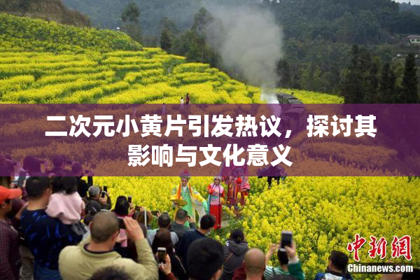二次元小黄片引发热议，探讨其影响与文化意义