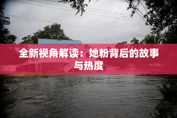 全新视角解读：她粉背后的故事与热度