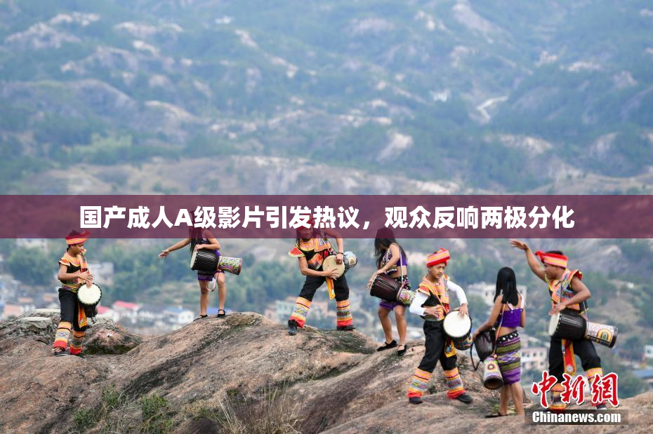 国产成人A级影片引发热议，观众反响两极分化