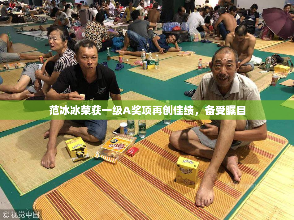 范冰冰荣获一级A奖项再创佳绩，备受瞩目