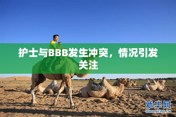 护士与BBB发生冲突，情况引发关注