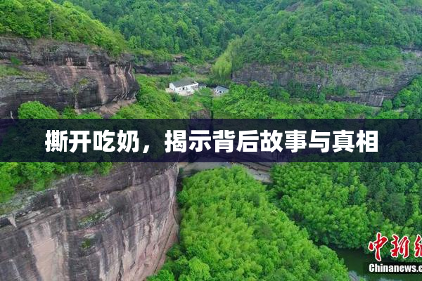 撕开吃奶，揭示背后故事与真相