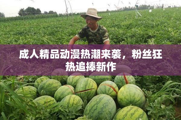 成人精品动漫热潮来袭，粉丝狂热追捧新作