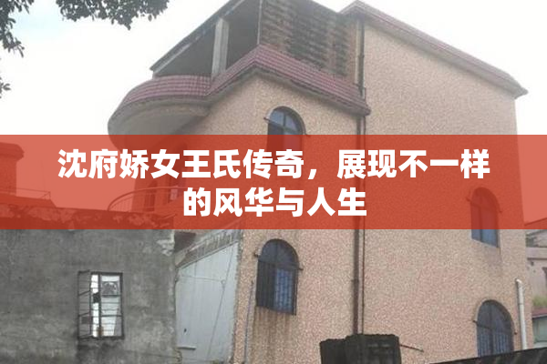 沈府娇女王氏传奇，展现不一样的风华与人生