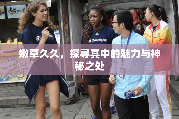 嫩草久久，探寻其中的魅力与神秘之处