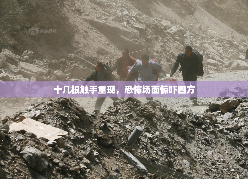 十几根触手重现，恐怖场面惊吓四方