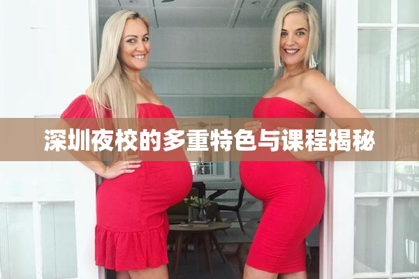 深圳夜校的多重特色与课程揭秘