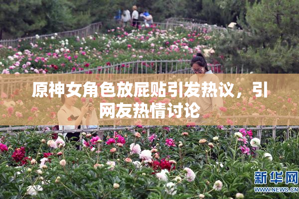 原神女角色放屁贴引发热议，引网友热情讨论