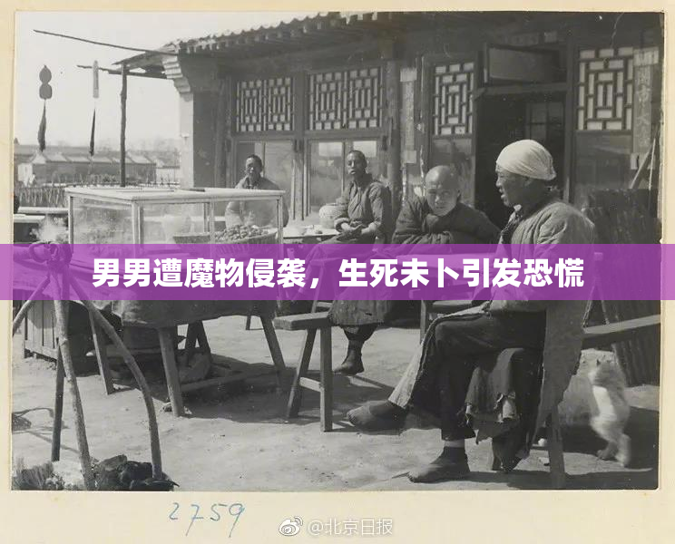 男男遭魔物侵袭，生死未卜引发恐慌