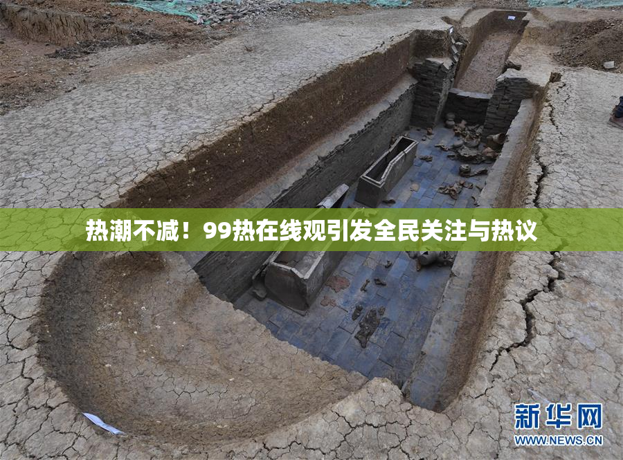 热潮不减！99热在线观引发全民关注与热议