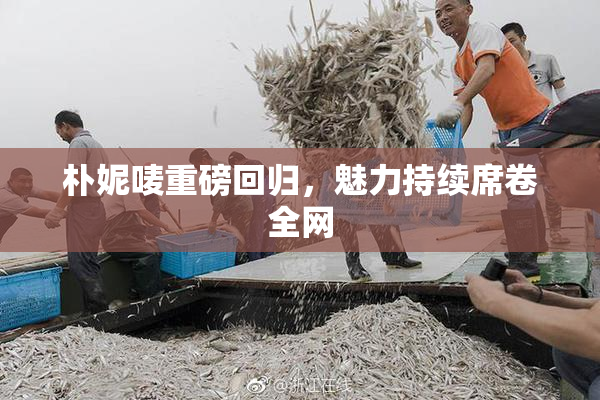 朴妮唛重磅回归，魅力持续席卷全网