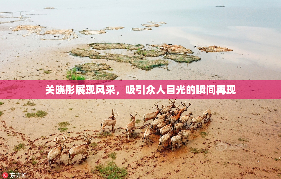 关晓彤展现风采，吸引众人目光的瞬间再现