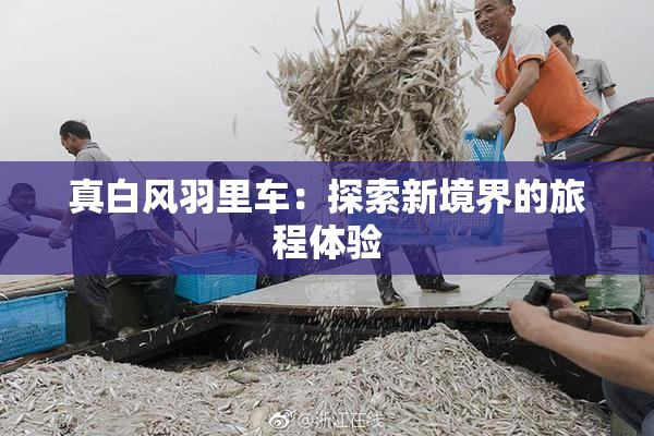 真白风羽里车：探索新境界的旅程体验