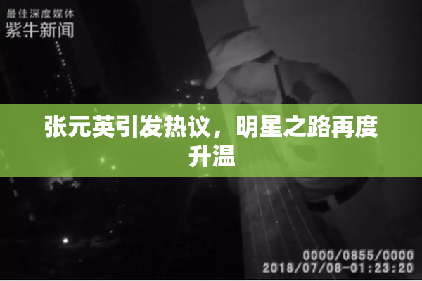 张元英引发热议，明星之路再度升温