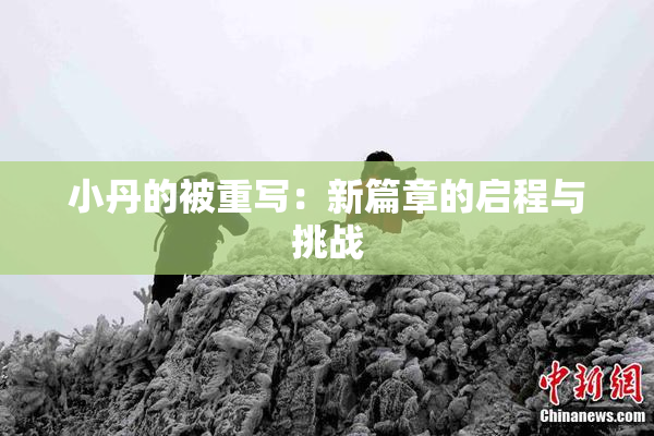 小丹的被重写：新篇章的启程与挑战