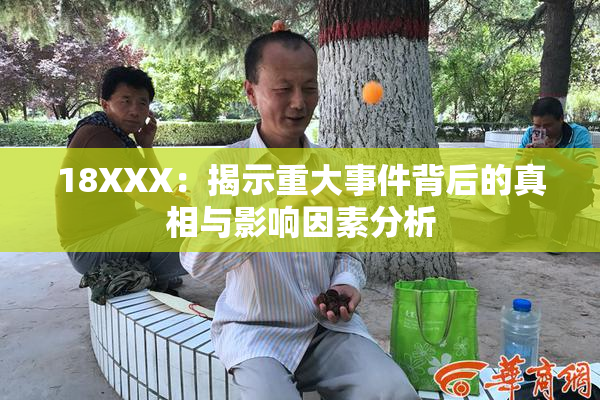 18XXX：揭示重大事件背后的真相与影响因素分析