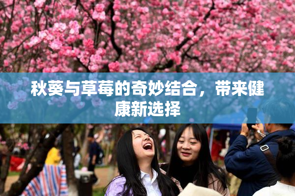 秋葵与草莓的奇妙结合，带来健康新选择