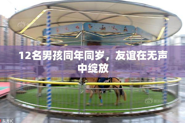 12名男孩同年同岁，友谊在无声中绽放