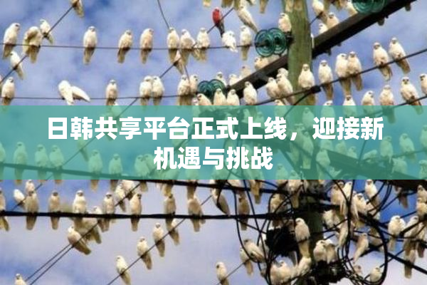 日韩共享平台正式上线，迎接新机遇与挑战