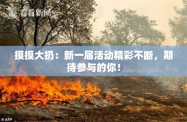 摸摸大扔：新一届活动精彩不断，期待参与的你！